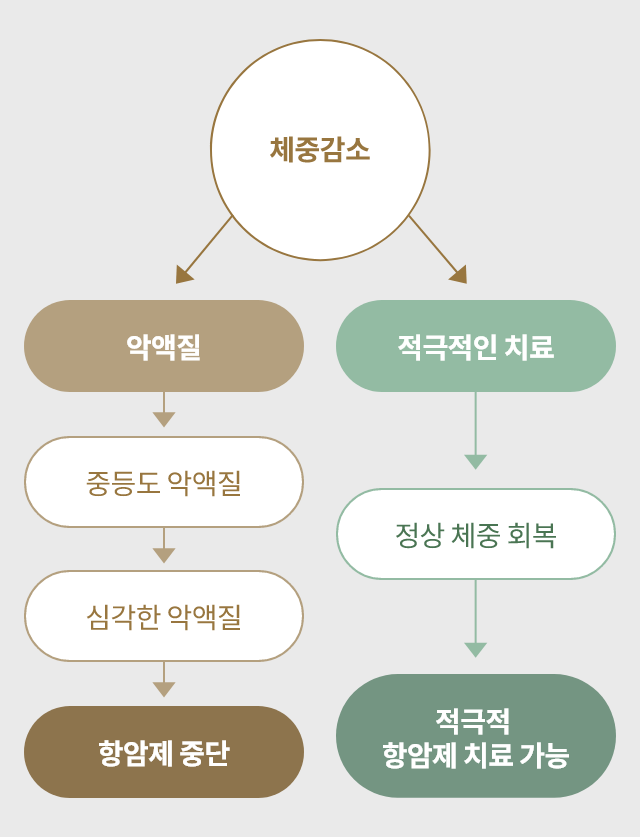 악액질 관리 및 치료 다이어그램